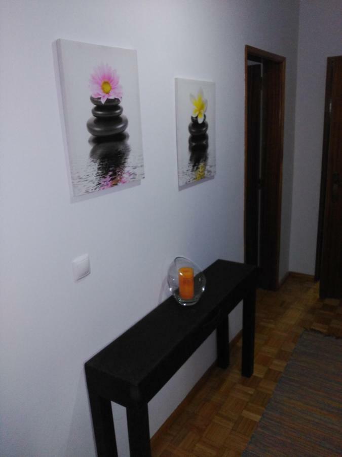 비세우 Apa Quinta De Fora 아파트 외부 사진